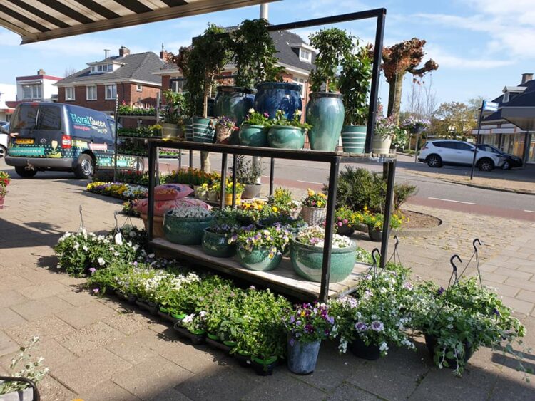 BUITEN PLANTEN —