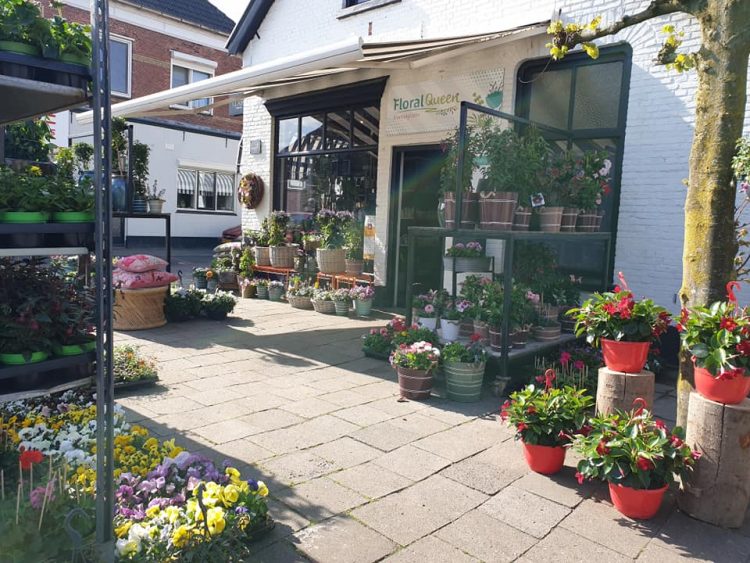 BUITEN PLANTEN —