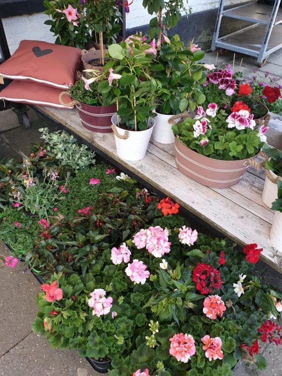 BUITEN PLANTEN —