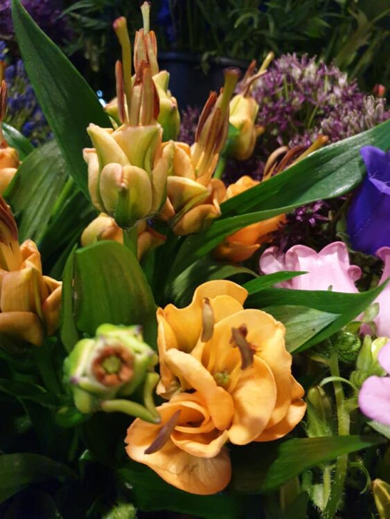 KONINGSDAG BLOEMEN — 🧡🧡🧡