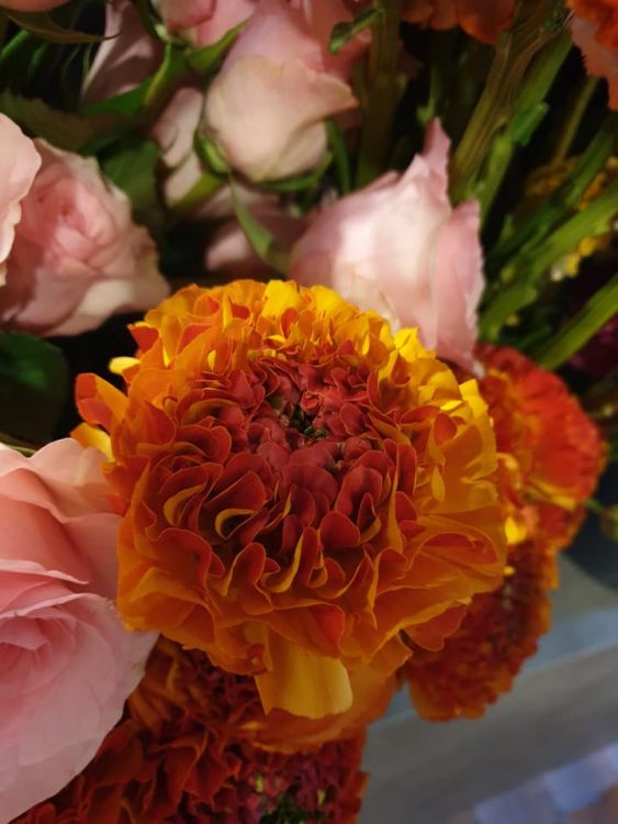 KONINGSDAG BLOEMEN — 🧡🧡🧡