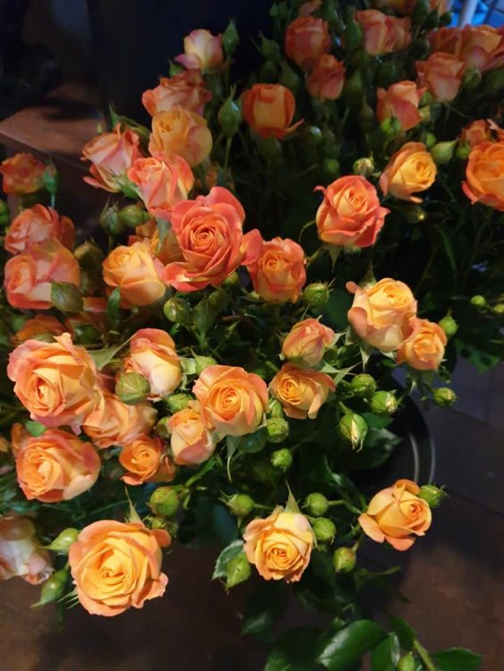 KONINGSDAG BLOEMEN — 🧡🧡🧡