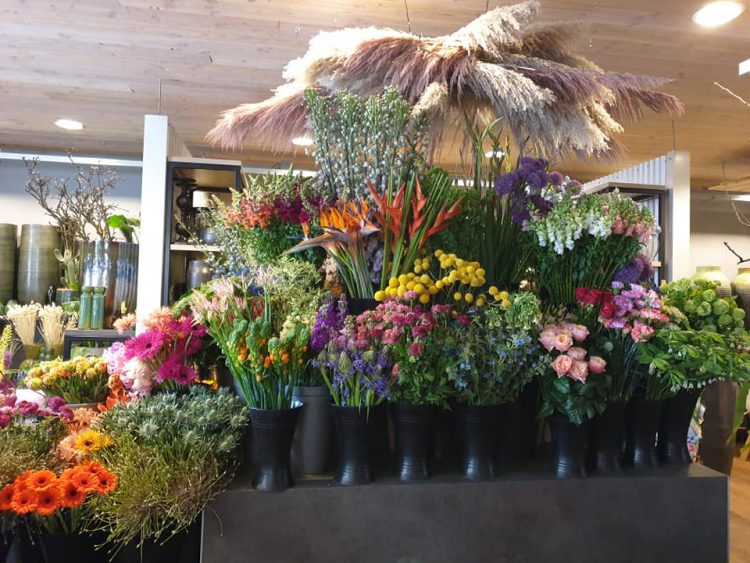 BLOEMEN —