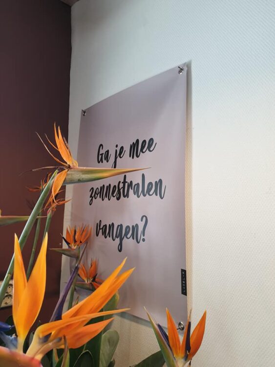 TUINPOSTERS —