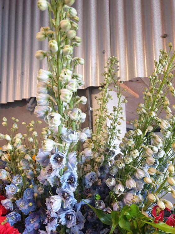 FRESH FLOWERS —