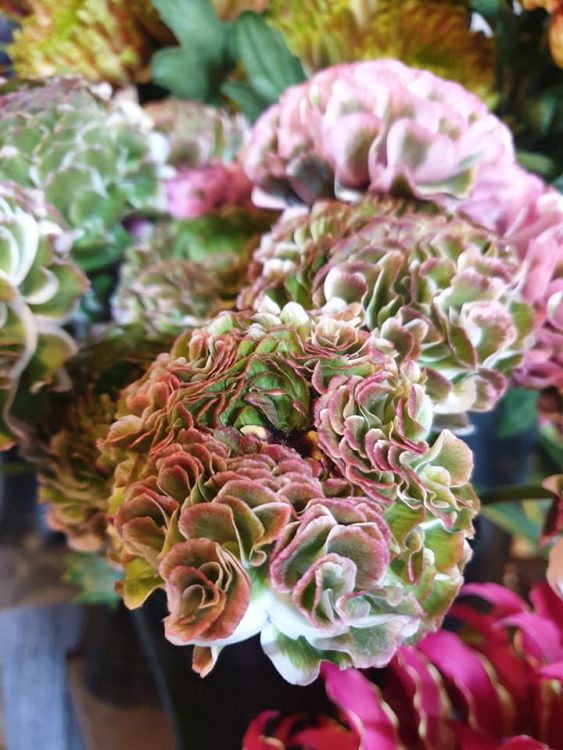 FRESH FLOWERS —