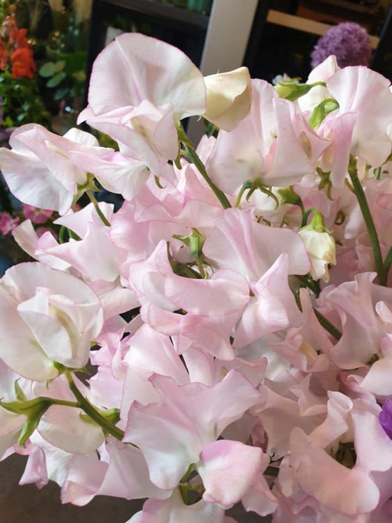 FRESH FLOWERS —