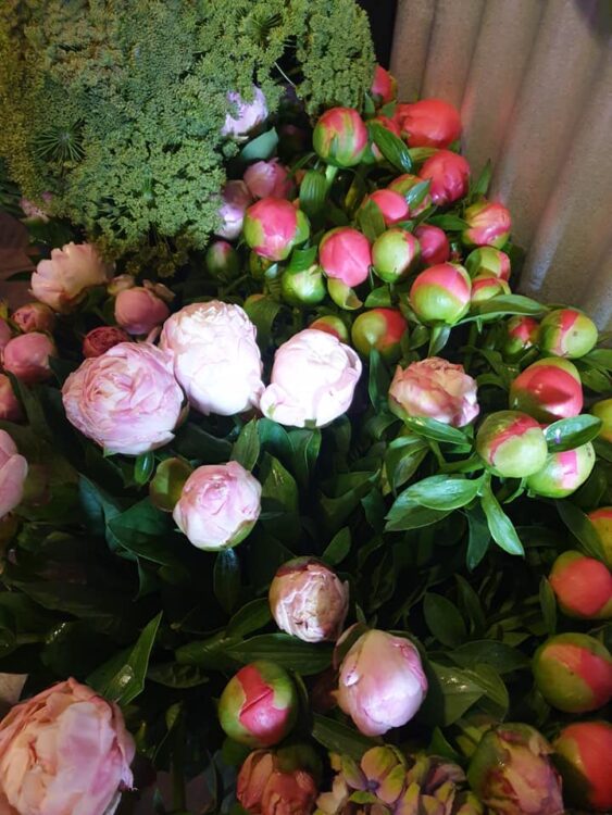 FRESH FLOWERS —