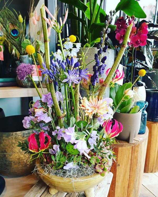 Happy Weekend — 🌺🌿🌸