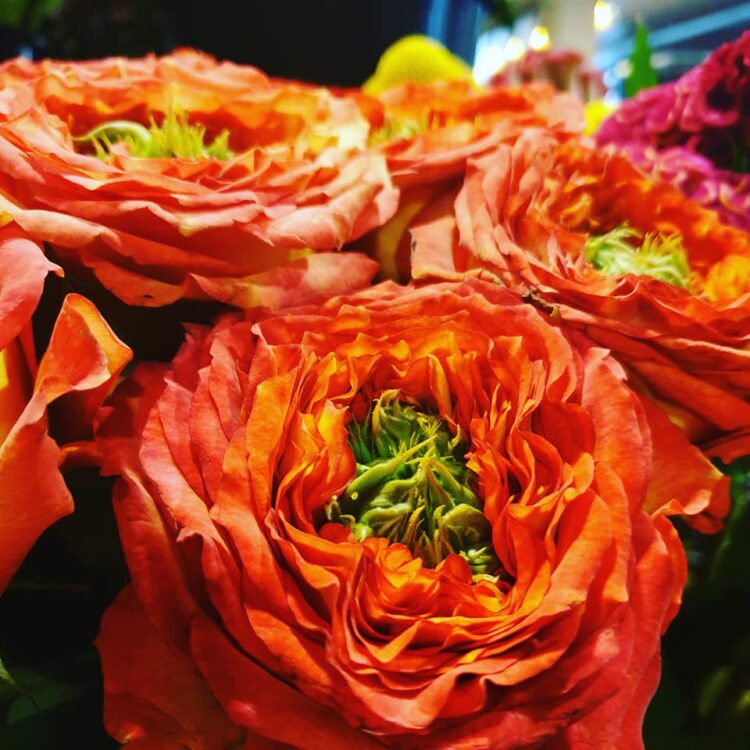FRESH FLOWERS —