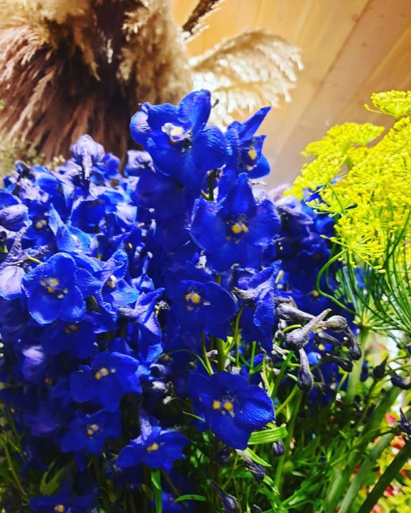 FRESH FLOWERS —