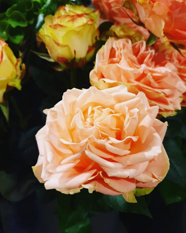 FRESH FLOWERS —