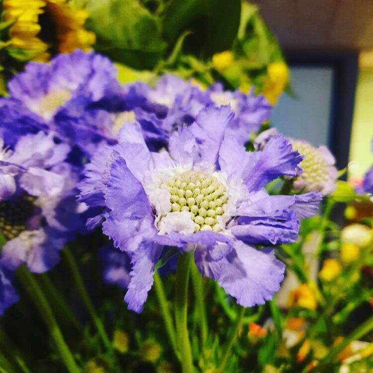 FRESH FLOWERS —