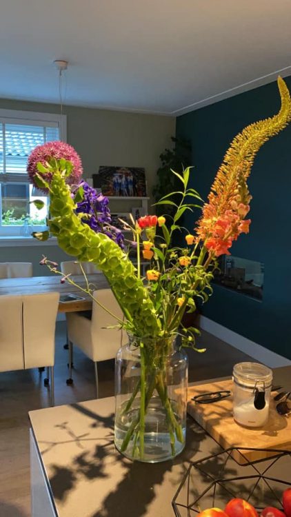 FIJNE ZONDAG —