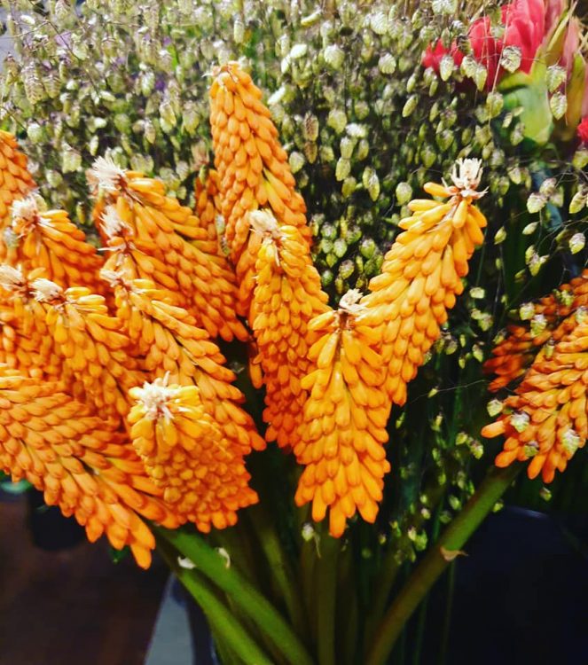 FRESH FLOWERS —
