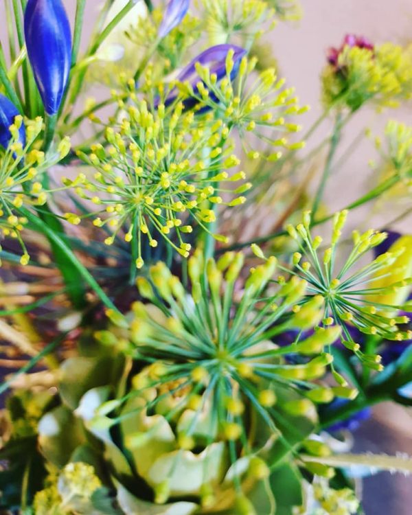 NIEUW– 🌿🌿🌿