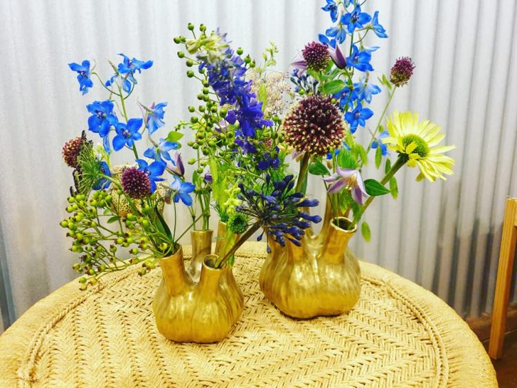 TUITVAAS — 💙🌱