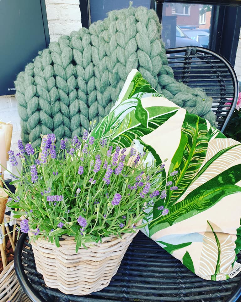 NEW PLANTS — 🌾🌾🌾
