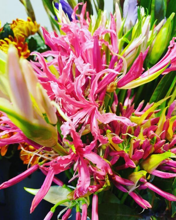 FRESH FLOWERS —
