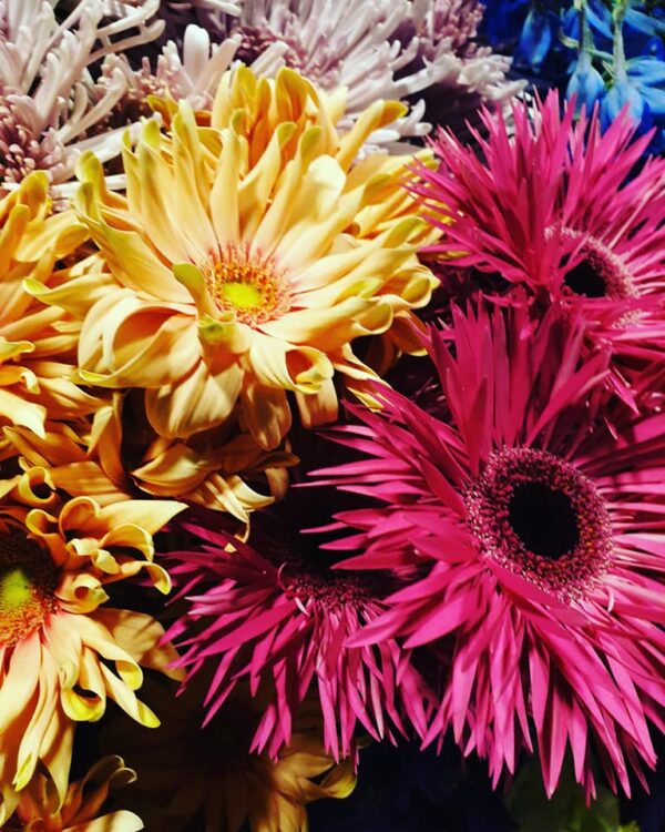 BLOEMEN —