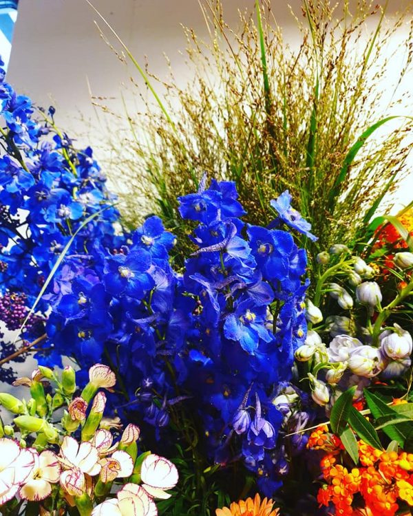 BLOEMEN —