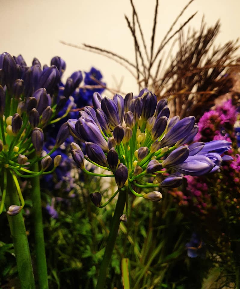 WEEKEND BLOEMEN —