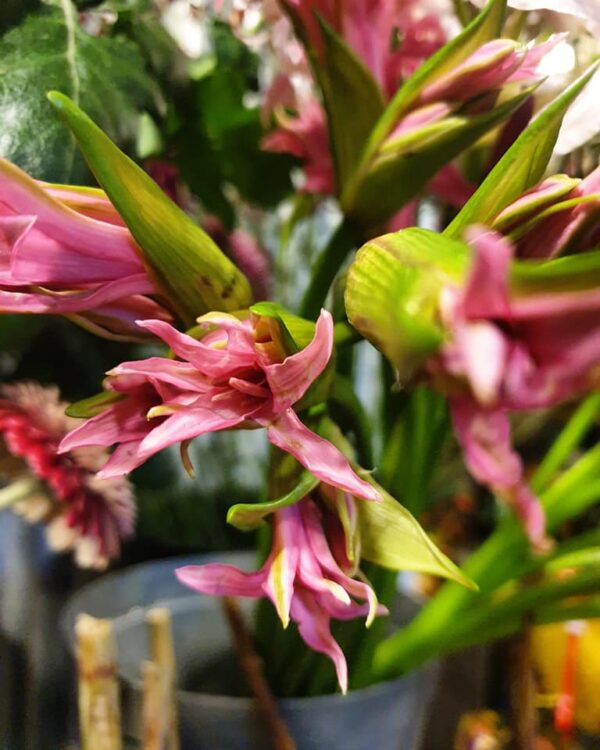 WEEKEND BLOEMEN —
