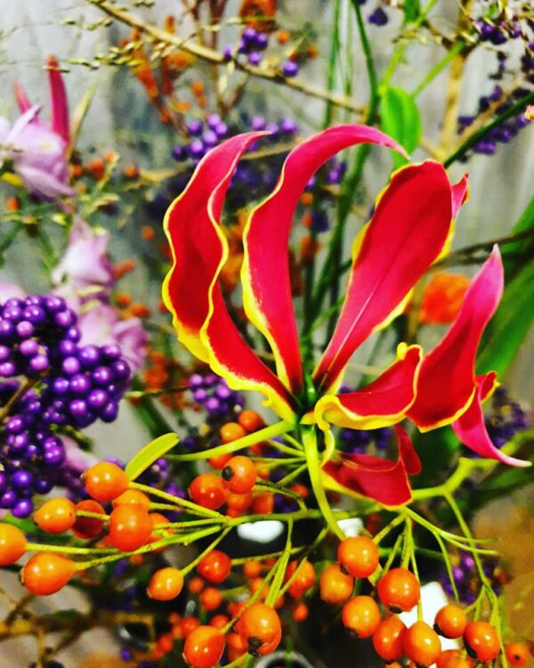 TUITVAAS BRONS —