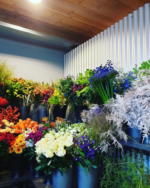 VERSE BLOEMEN —