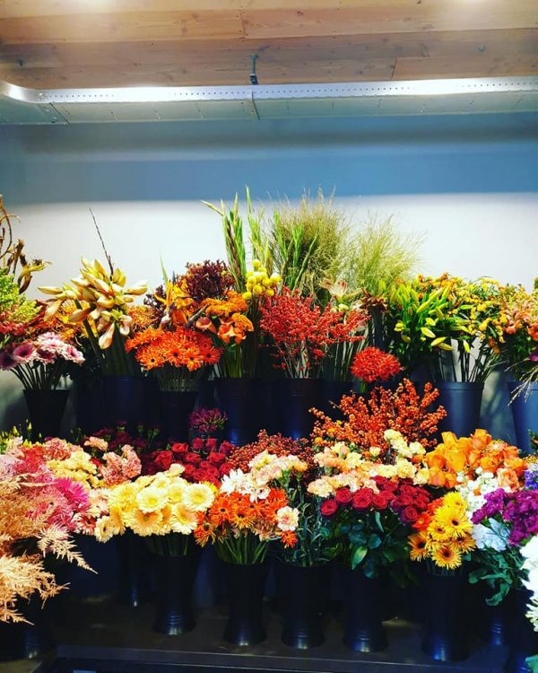 VERSE BLOEMEN —