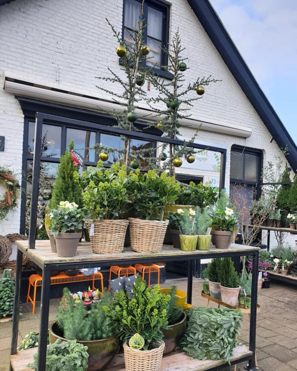 BUITEN —