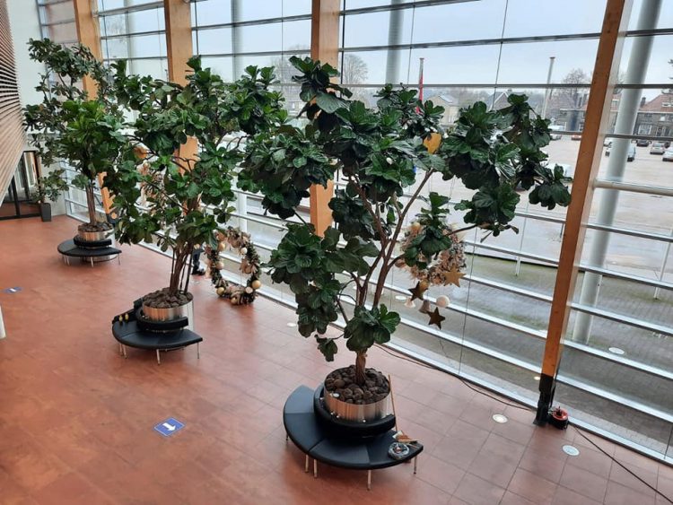 KERST @ Gemeente Hof van Twente