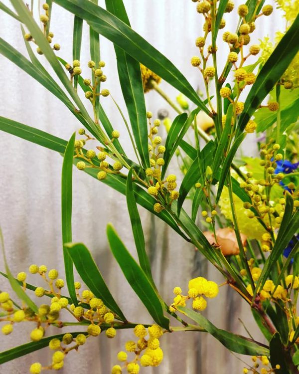 FRESH FLOWERS —