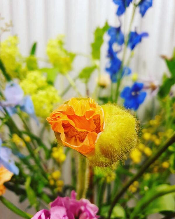FRESH FLOWERS —
