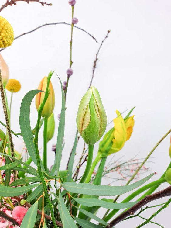 TULPENTIJD — ⚘⚘⚘