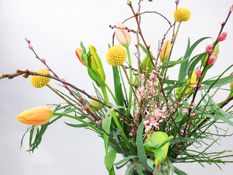 TULPENTIJD — ⚘⚘⚘