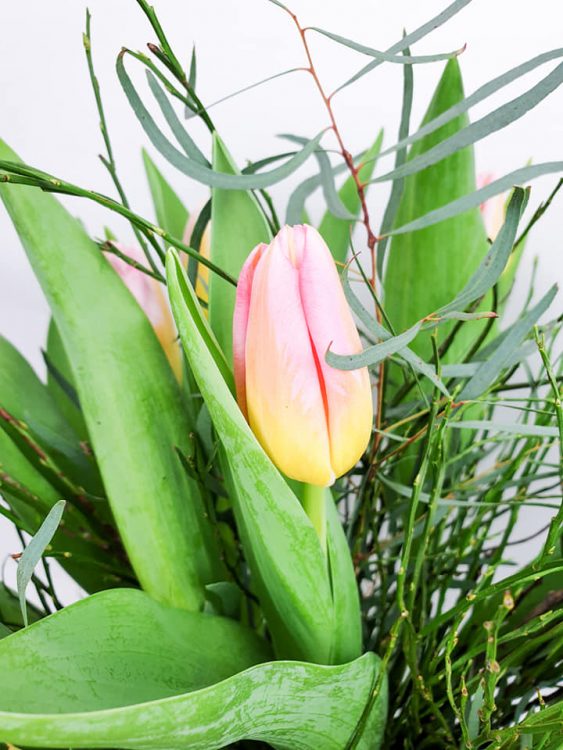TULPENTIJD —