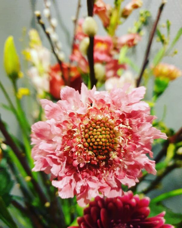 BLOEMEN —