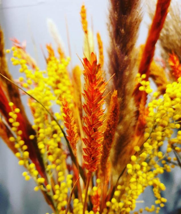 DROOGBLOEMEN —