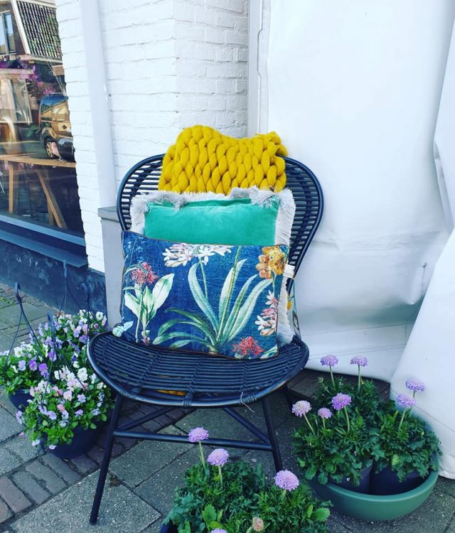 BUITENPLANTEN —