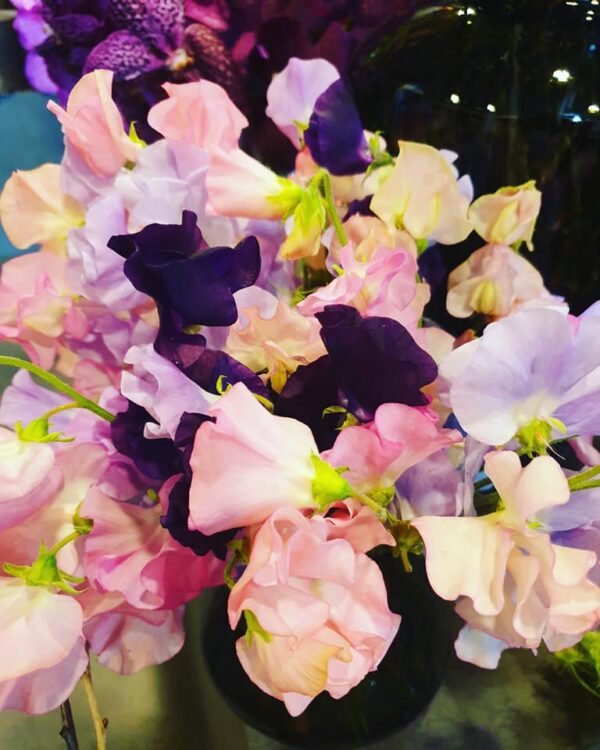 FLOWERS —
