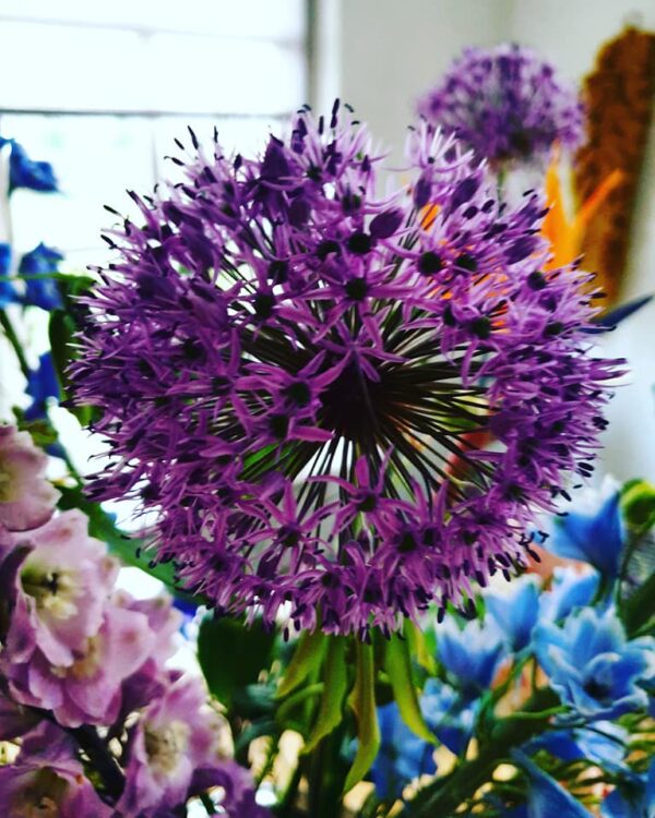 FRESH FLOWERS —