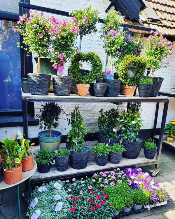 BUITEN PLANTEN —