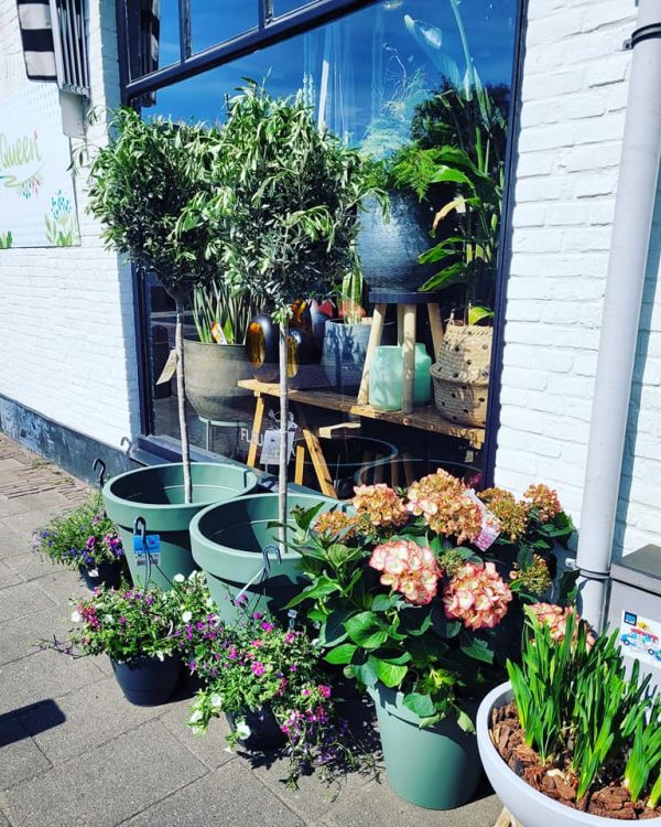 BUITEN PLANTEN —