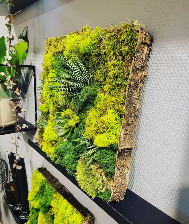 MOSSCHILDERIJ —