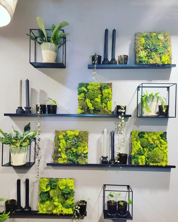 MOSSCHILDERIJ —