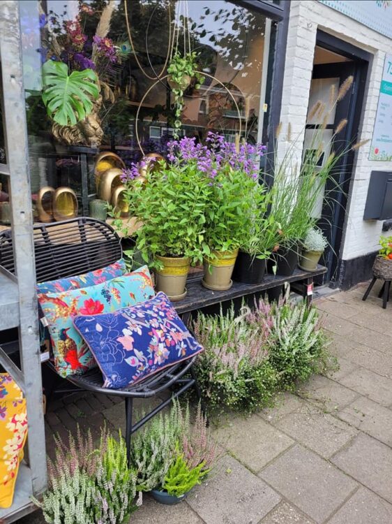 BUITENPLANTEN —