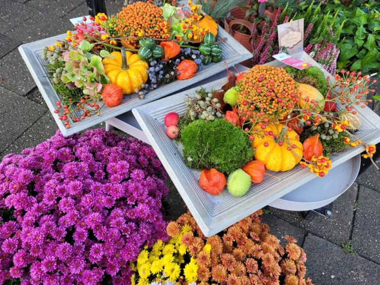 HERFST —