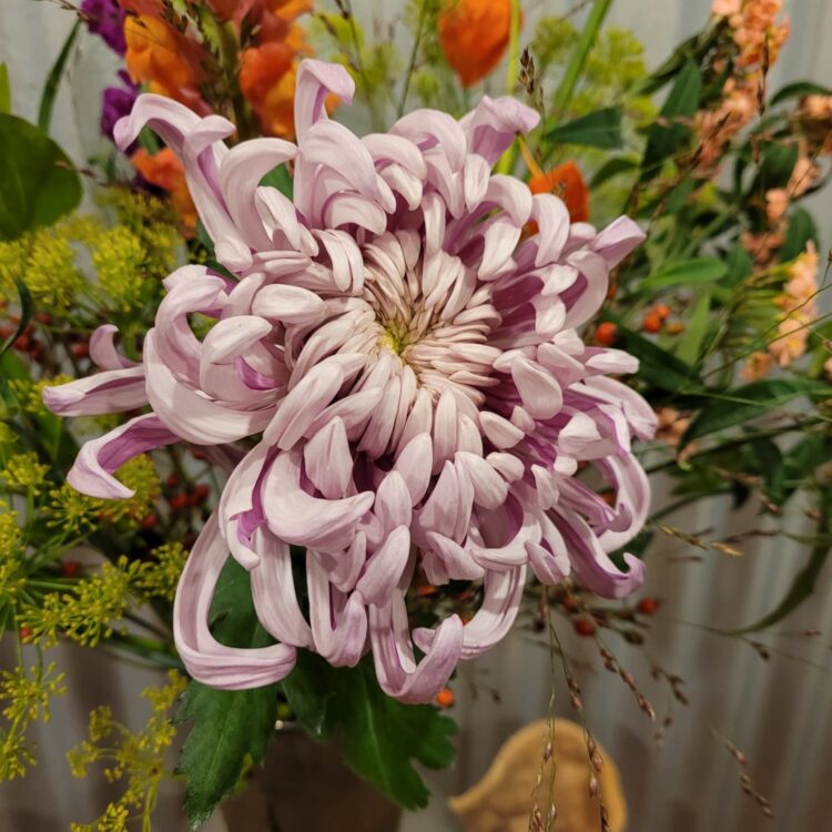 FLOWERS —