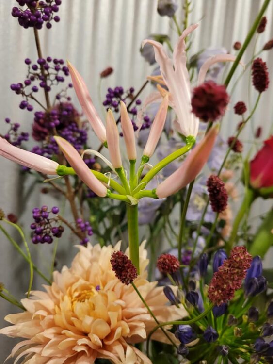 FLOWERS —